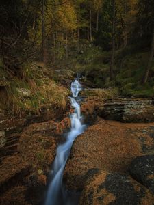 Preview wallpaper stream, waterfall, stones, trees