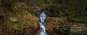 Preview wallpaper stream, waterfall, stones, trees