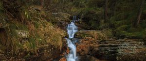 Preview wallpaper stream, waterfall, stones, trees