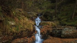 Preview wallpaper stream, waterfall, stones, trees