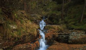 Preview wallpaper stream, waterfall, stones, trees