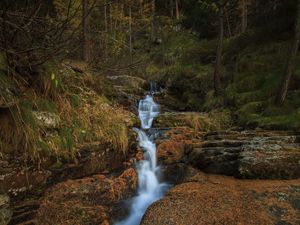 Preview wallpaper stream, waterfall, stones, trees