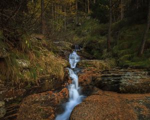 Preview wallpaper stream, waterfall, stones, trees