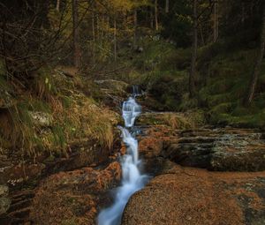 Preview wallpaper stream, waterfall, stones, trees