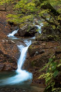 Preview wallpaper stream, waterfall, stones, nature