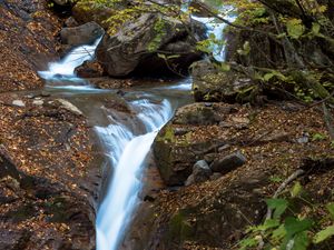 Preview wallpaper stream, waterfall, stones, nature