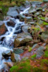 Preview wallpaper stream, wood, stones, leaves, moss, branches