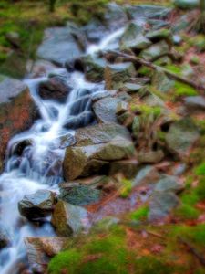 Preview wallpaper stream, wood, stones, leaves, moss, branches