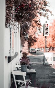 Preview wallpaper street, building, flowers, decoration, furniture