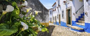 Preview wallpaper street, buildings, houses, shadow