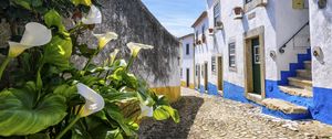 Preview wallpaper street, buildings, houses, shadow