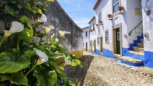 Preview wallpaper street, buildings, houses, shadow