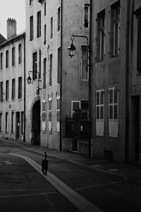 Preview wallpaper street, cat, bw, buildings, city, architecture