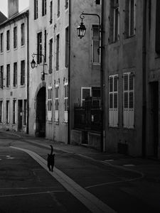 Preview wallpaper street, cat, bw, buildings, city, architecture