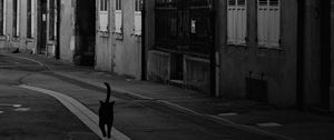 Preview wallpaper street, cat, bw, buildings, city, architecture