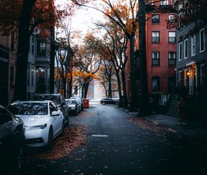 Preview wallpaper street, city, autumn, cars, trees