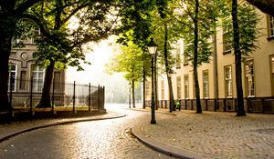 Preview wallpaper street, city, park, buildings, path
