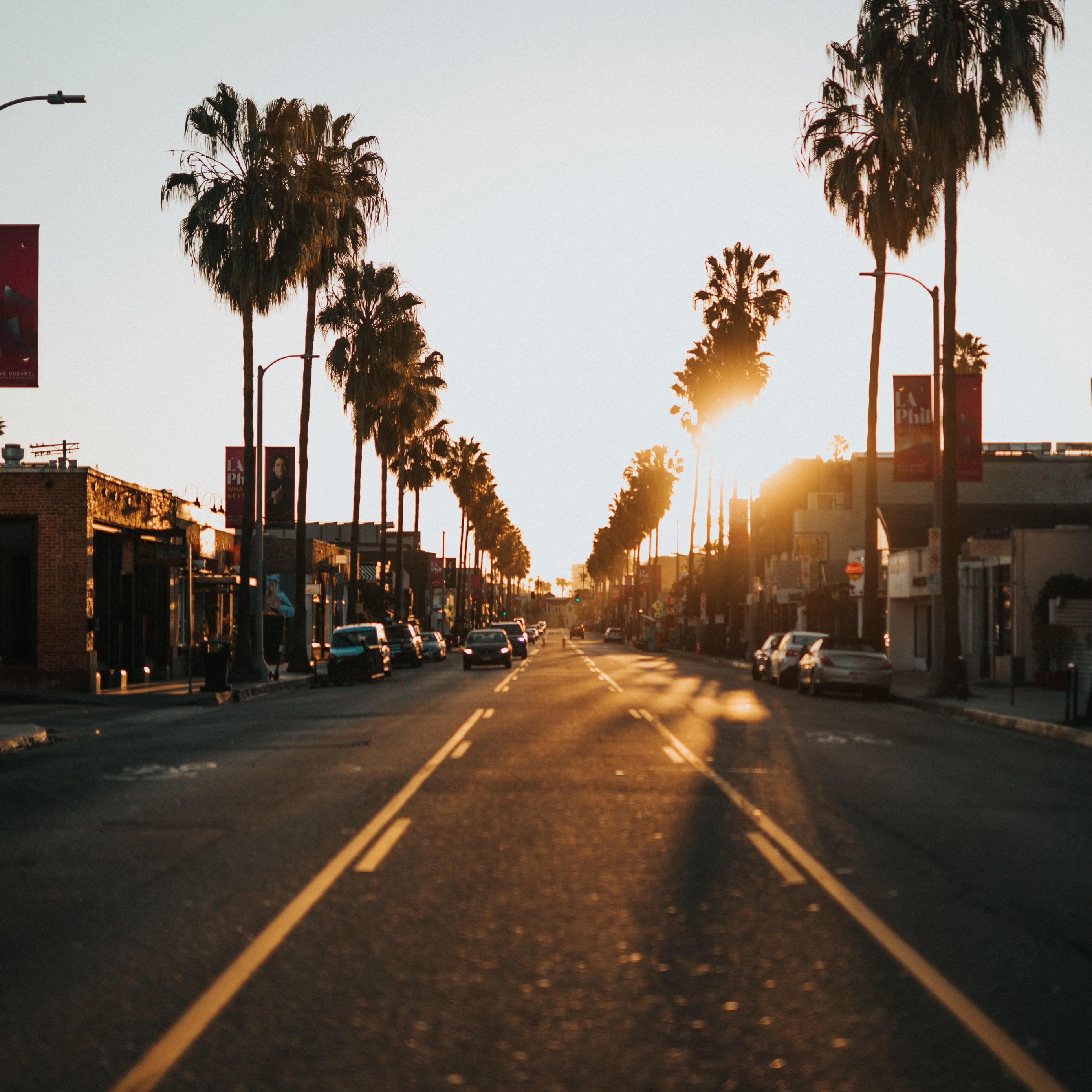 Los Angeles, palm, street, HD phone wallpaper