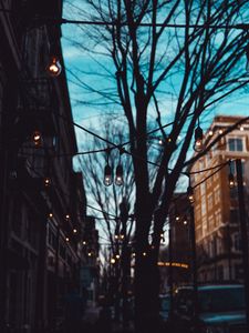 Preview wallpaper street, lamps, trees, evening