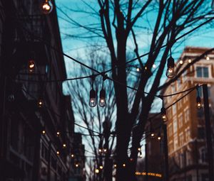 Preview wallpaper street, lamps, trees, evening