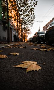 Preview wallpaper street, leaves, asphalt, city, autumn