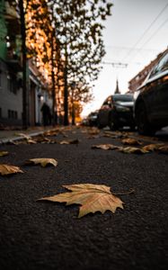 Preview wallpaper street, leaves, asphalt, city, autumn
