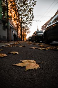 Preview wallpaper street, leaves, asphalt, city, autumn