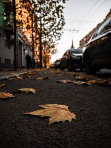 Preview wallpaper street, leaves, asphalt, city, autumn