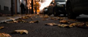 Preview wallpaper street, leaves, asphalt, city, autumn