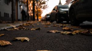 Preview wallpaper street, leaves, asphalt, city, autumn