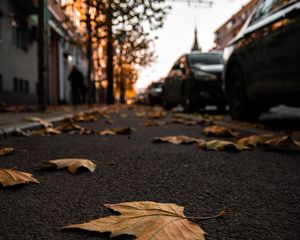 Preview wallpaper street, leaves, asphalt, city, autumn