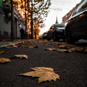 Preview wallpaper street, leaves, asphalt, city, autumn