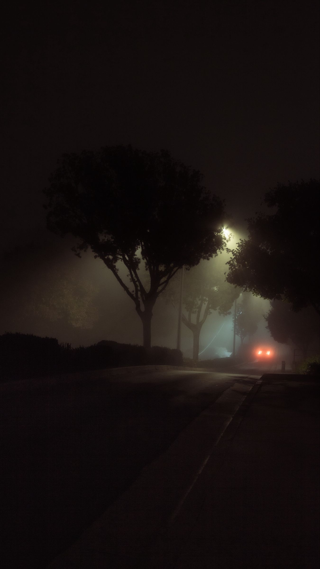 Street, night, fog, car, lights, HD phone wallpaper