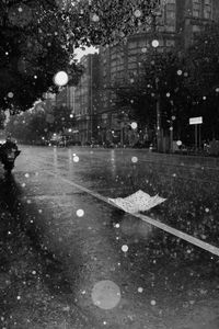 Preview wallpaper street, rain, bw, umbrella, asphalt, wet