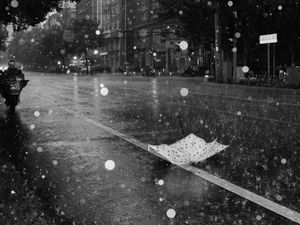 Preview wallpaper street, rain, bw, umbrella, asphalt, wet