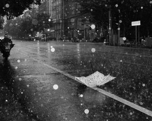 Preview wallpaper street, rain, bw, umbrella, asphalt, wet