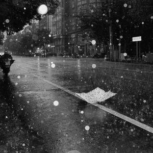 Preview wallpaper street, rain, bw, umbrella, asphalt, wet