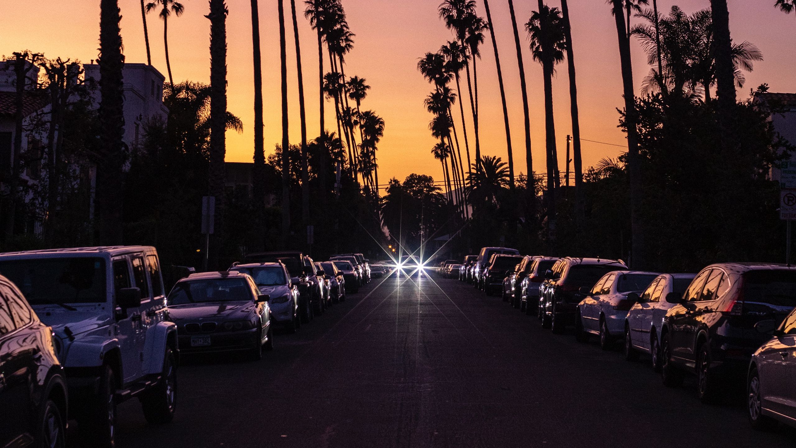 Download wallpaper 2560x1440 palm trees, twilight, street, road, cars