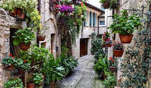 Preview wallpaper street, road, houses, flowers
