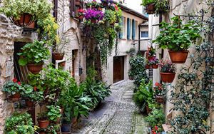 Preview wallpaper street, road, houses, flowers