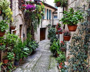 Preview wallpaper street, road, houses, flowers