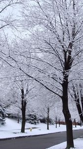 Preview wallpaper street, road, trees, hoarfrost