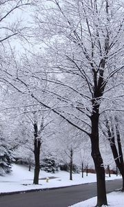 Preview wallpaper street, road, trees, hoarfrost