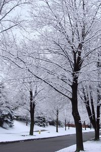 Preview wallpaper street, road, trees, hoarfrost