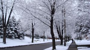 Preview wallpaper street, road, trees, hoarfrost