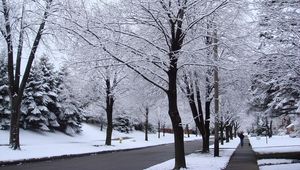 Preview wallpaper street, road, trees, hoarfrost