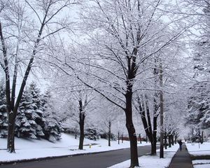 Preview wallpaper street, road, trees, hoarfrost