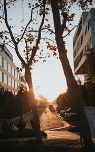 Preview wallpaper street, trees, buildings, cars, sunlight