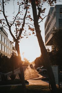 Preview wallpaper street, trees, buildings, cars, sunlight