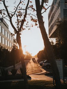 Preview wallpaper street, trees, buildings, cars, sunlight